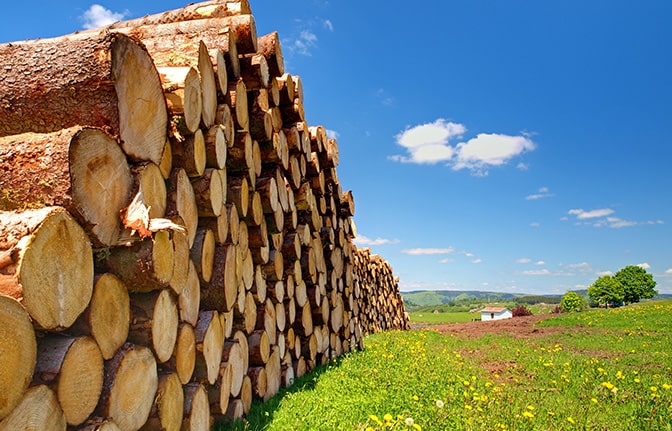 Produits bois de chauffage écologique et économique
